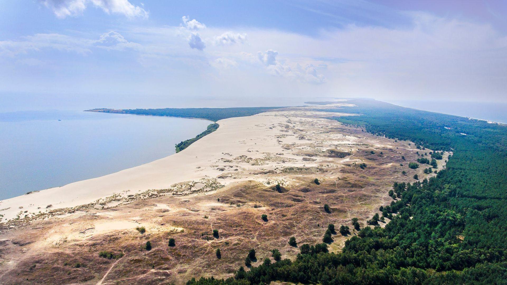 curonian